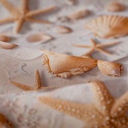 Tela ded popelín conchas en relieve detalle