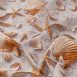 Tela ded popelín conchas en relieve textura