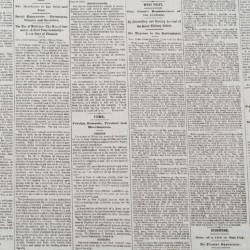 Tela de agodón periodico lisa