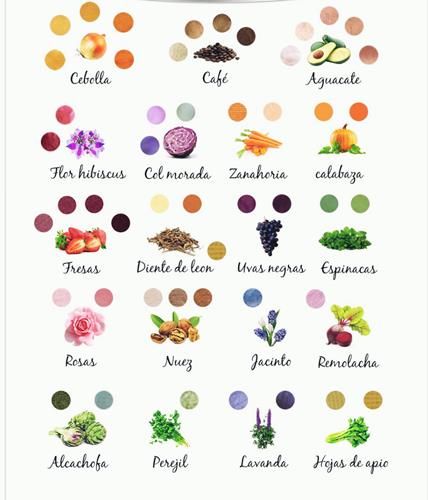 Tintes naturales de plantas y flores